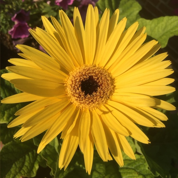 Meet your Posher, Michelle - Picture 2 of 10